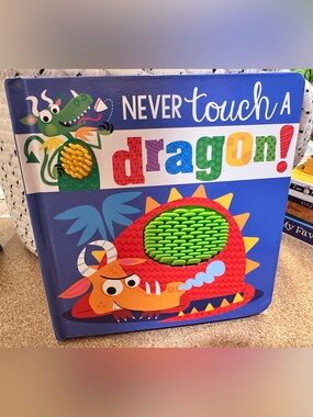 $3 CLOSET CLEAN OUT - Never Touch a Dragon! - Kids Touch-and-Feel Board Book